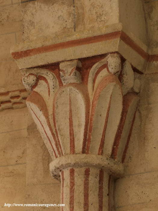 DECORACIÓN VEGETAL 